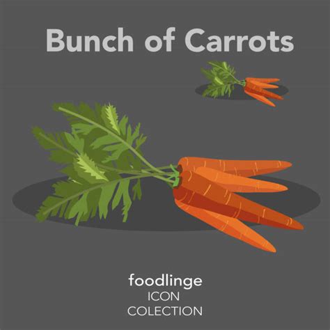 Bunch Of Carrots Illustrations Royalty Free Vector