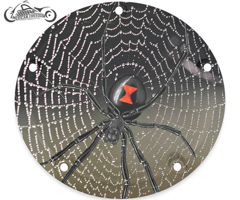 Black Widow Spiderweb