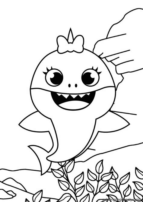 Cute Baby Shark Coloring Page Free Printable Coloring Pages