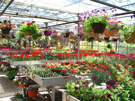 Maybe you would like to learn more about one of these? Annuals, hanging baskets & perennials had color to your garden. | Greenhouse, Planters, Garden bench