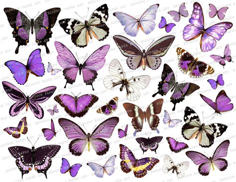 Printable Butterflies Collage Sheet Digital Scrapbooking Etsy