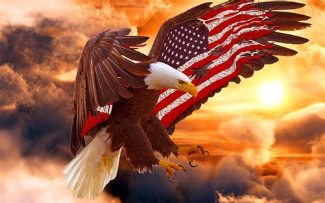 Bald Eagle Wallpaper American Flag Bald Eagle 113443