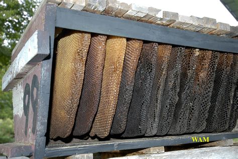 Bee can keep it warm long as it aint too drafty. Opening Hives - 200 Top Bar Hives: The Low-Cost ...