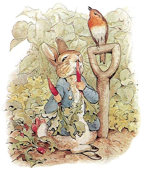 The Tale Of Peter Rabbit Summary Characters And Facts Britannica