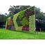 Vertical Gardens For Green Thumbs & Sustainability  Industry Tap