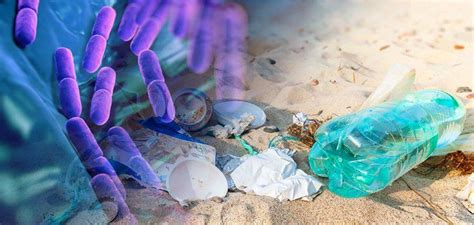 Huge Discovery Bacterium That Eats Plastic Waste Plastic Waste