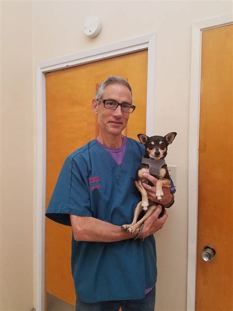 Our Team - Clayton Valley Pet Hospital | Clayton Valley Pet Hospital