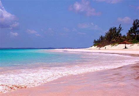 Pink Sand Beach Bahamas Tourist Diary