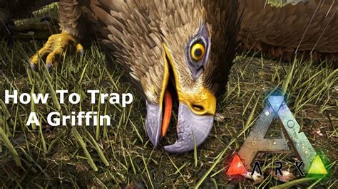 It might not be as close to minecraft in terms of prominence. The Easiest way to Trap Griffin **CHEAP TRAP Ark Survival ...