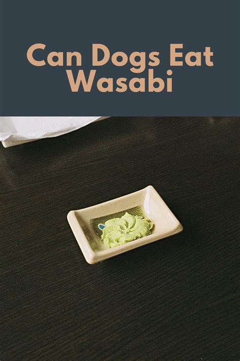 Can Dogs Eat Wasabi Can Dogs Eat Dog Eating Canning
