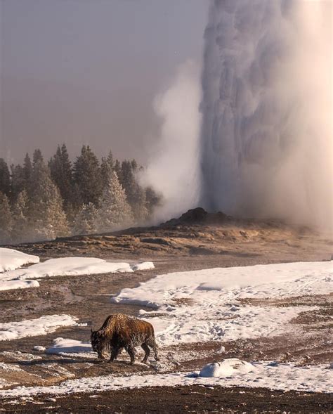 Instagram National Parks Yellowstone National Park Yellowstone National
