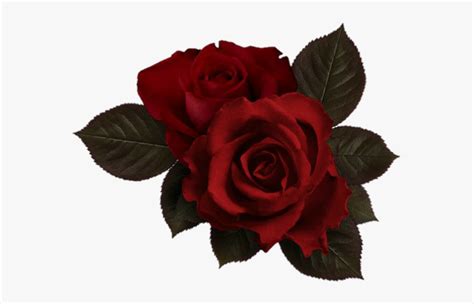 Chalkboard background presentation free google slides theme and powerpoint template. Image - Red Flowers Aesthetic Png, Transparent Png - kindpng