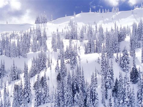 Gallery Mangklex Winter Backgrounds