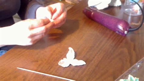 Proflowers.com has been visited by 10k+ users in the past month Tammy's Flower another version, the Lily! - YouTube