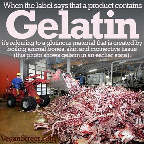 Happy 27th of #Augustatory! When you think about it, gelatin is pretty