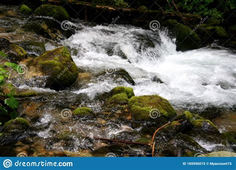 Mountain River Water Landscape Wild River In Mountains Mountain Wild