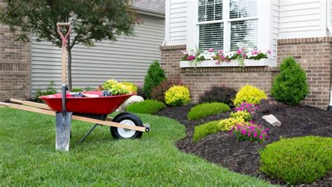 How Much Does Landscaping Cost