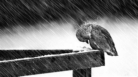 1920x1080 Dark Love Mood People Rain Sad Sorrow Winter Hd