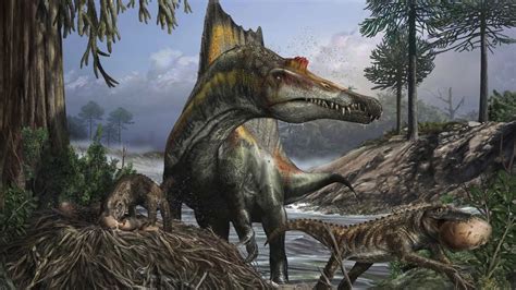 Nizar Ibrahim Phd Paleontology Discovering Large Dinosaur Bones