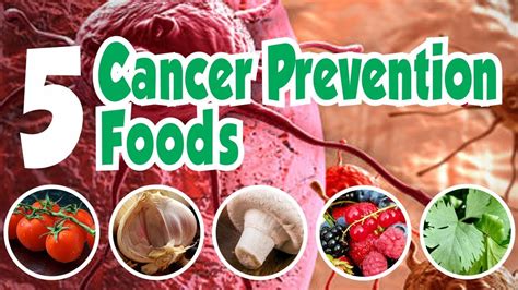 5 Cancer Prevention Foods ️ Must Be Present In Your Daily Diet Youtube