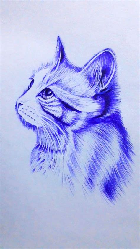 Cute Little Cat Pen Art Work Pen Art Drawings Ink Pen Art