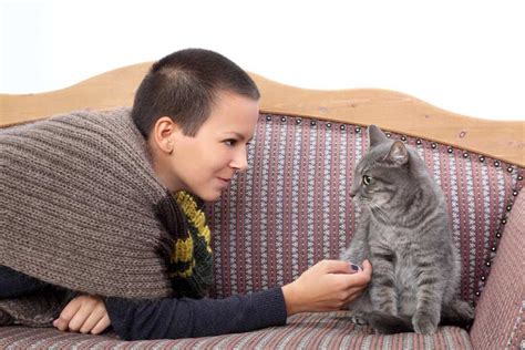Considering A Cat Sitter 5 Reasons To Skip Boarding And Opt For Cat