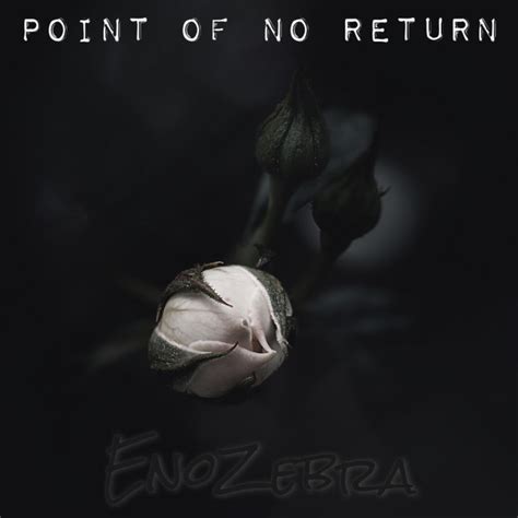 Point Of No Return Single By Enozebra Spotify