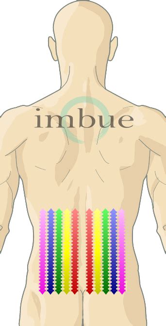 Intermediate back muscles and c. Back pain buttocks and leg, hard time sleeping menopause uk