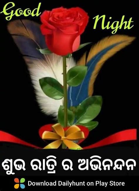 An Image Of A Red Rose And Feathers With The Words Good Evening Written