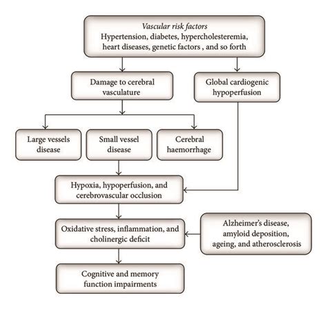 Pathophysiological Mechanisms For Vascular Dementia Download