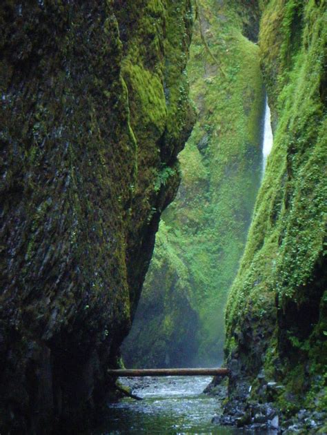 Oneonta Gorge Usa Images N Detail