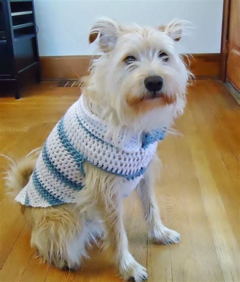 Crochet Dog Sweater With Hood Free Pattern Ava Crochet