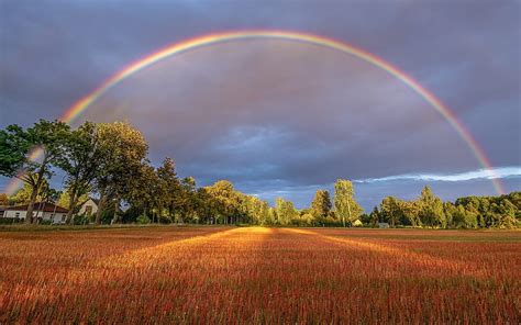 Rainbow Over Field Trees Latvia Rainbow Field Hd Wallpaper Peakpx