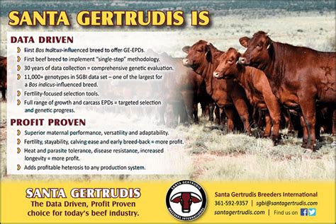 National Ad Campaign Santa Gertrudis Breeders International