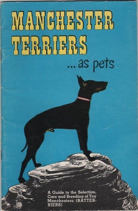 Manchester Terriers As Pets Dogs Vintage Book Tfhpublications
