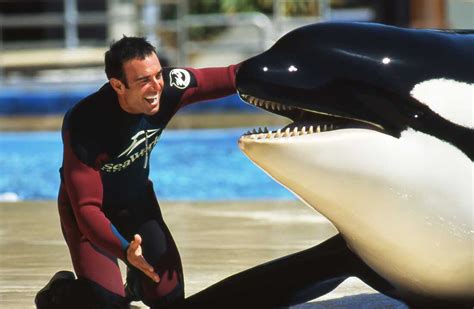 Former Orca Trainer For Seaworld Condemns Its Practices Npr