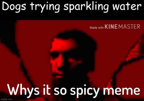 Why Is It Spicy Imgflip