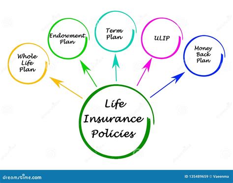 Life Insurance Policies Stock Illustration Illustration Of Insurance