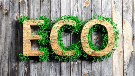 5 Ways To Live A More Eco Friendly Lifestyle Eco Design Eco