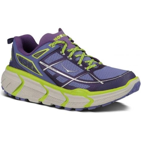 Looking for your first pair of hoka shoes and not sure where to start? Hoka Challenger ATR Womens Running Shoes Blue at ...