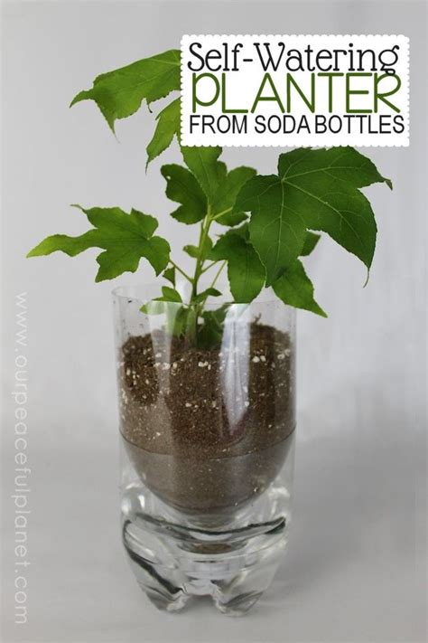 Looking Good Self Watering Planters With Plastic Bottles Faux Decor