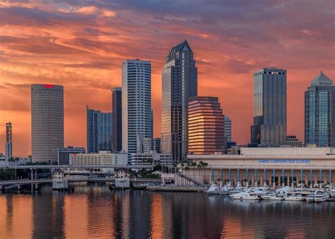 Tampa S Best Downtown Apartments Live In The Heart Of The City