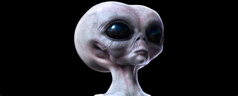 What Would Aliens Really Look Like Here Are Some Hints From Evolution Sciencealert