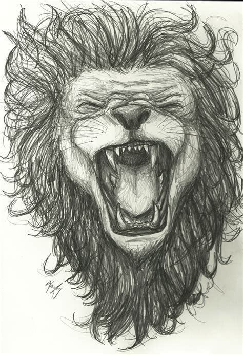 First, we are going to sketch the head shape. Lion Face Drawing at GetDrawings | Free download