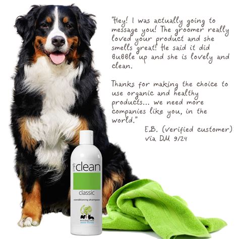 The Best Dog Care Products For Your Canine Companion Doggie Joy