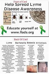Images of Medical Marijuana For Lyme Disease