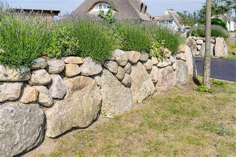 Maybe you would like to learn more about one of these? Sichtschutz im Garten | 10 Ideen mit Holz, Kunststoff ...
