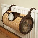 Pictures of Cat Beds Hanging