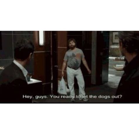 Alan Quote The Hangover Favorite Movie Quotes Comedy Movie Quotes