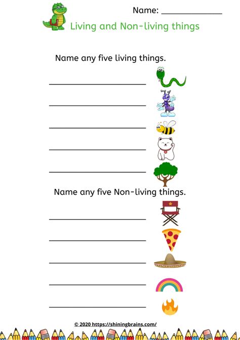 Living And Non Living Things Free Worksheets